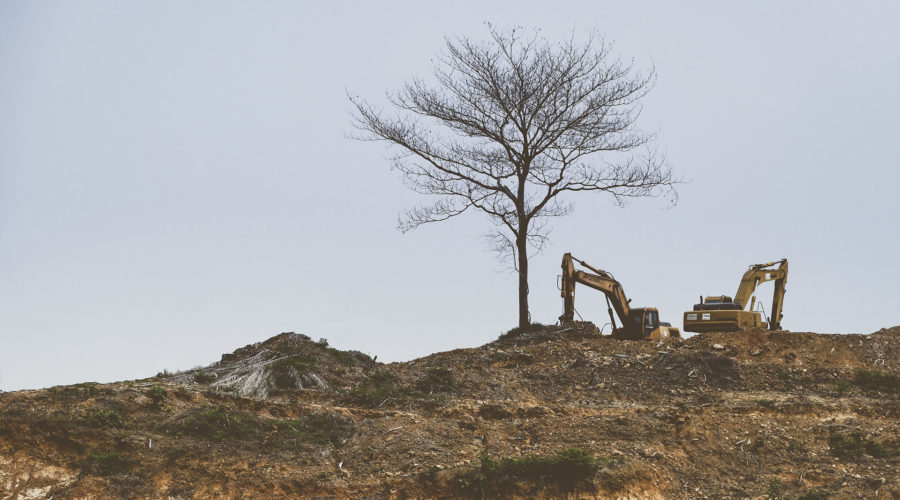 Site Clearance