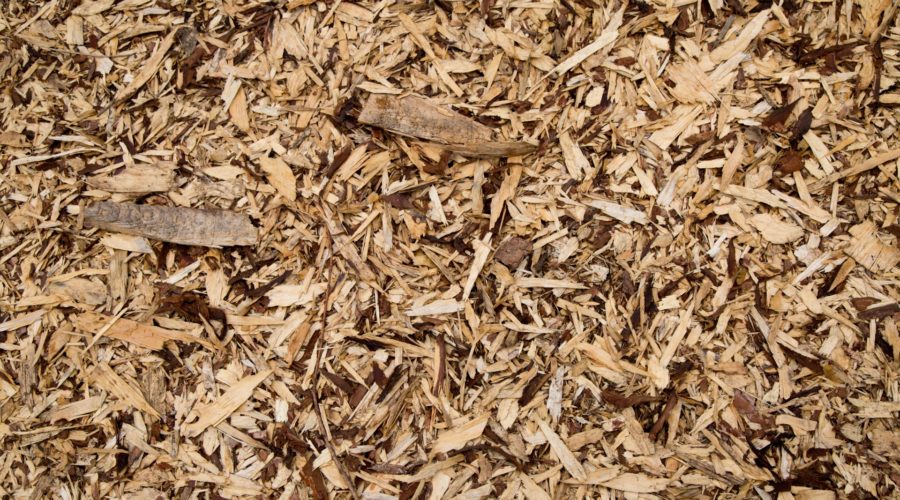 Supply of Wood Chip
